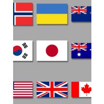 National Flag Chest Badge Pattern Iron On Transfer Clothing Thermoadhesive Patches Vinyl Sticker Washable DIY Appliques