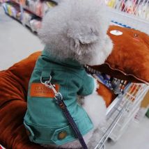 Abbigliamento per cani Completo per cani Vestito per cani Bassotto Vestiti per cuccioli Corgi Felpa con cappuccio media Costume Accessori per animali Cappotto Piccole razze Estate