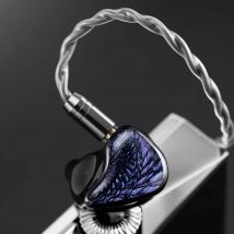 Celest Wyvern Auricolari neri Auricolari con driver dinamico LCP da 10 mm con microfono staccabile Cavo per cuffie IEM