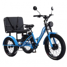 Eltern-Kind-3-Rad-Fettreifen-Elektrofahrrad mit Beifahrersitz, Familie, 750 W, 48 V, elektrisches Dreirad, Lastenfahrrad für Erwachsene, zwei Personen