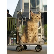 Haustier Trolley Box aus tragbaren transparenten Handgepäck Reisewagen Airline Case große Kapazität Träger für Hunde zubehör