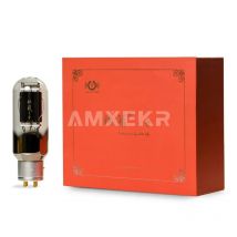 LINLAI E-845 E845 Vakuumröhre 845 Elite Serie Ersetzen 845 WE845 845-TII 845-DG 845-T HIFI Audio Ventil DIY Röhrenverstärker Kit