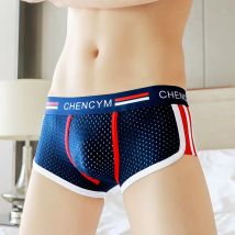 Bequeme Herrenunterwäsche aus Eisseide, atmungsaktives Mesh, Jugend-Boxershorts, lockere, nahtlose Boyshorts, Herren-Boxershorts mit 3D-Schritt