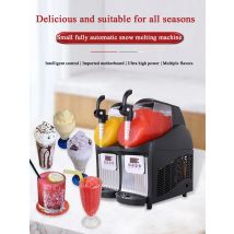 Double Cylinder Slushie Machine Automatic Drink Dispenser Juicer Beverage Granizing Snow Smoothie