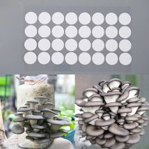 32 Stück/Blatt synthetische sterile Maschen filterpapier aufkleber 20mm hydrophobe atmungsaktive Membran für die Pilzzucht mit breitem Mout