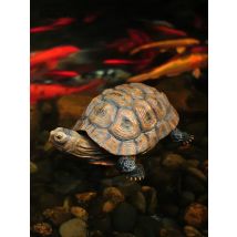 Simulation Tier Tier Schildkröte Ornamente Garten Innenhof Teich Pool Steingarten Aquarium dekorative Harz Skulptur