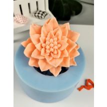 Christmas Poinsettia Flower Soap Molds, Silicone Decoration, Plant Molds, Candle Molds, Bouquet Making Clay Resin, HC0280 PRZY