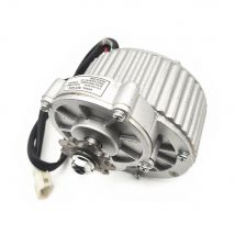 MY1018 250 W/450 W DC 24 V 36 V Bürstengetriebemotor, DC-Bürstenmotor Gleichstrom-Permanentmagnet-Bürstenmotor