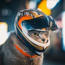 Caschi per animali domestici fai-da-te, casco per gatti, casco per cani-mini cappello sicuro per la protezione della testa all'aperto, accessorio per foto di animali domestici, mini casco da moto