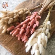 50Pcs Fluffy Bunny Rabbit Tail Grass Dried Flowers Bouquet Wedding Christmas Decor Natural Pampas Boho Home Autumn Decoration