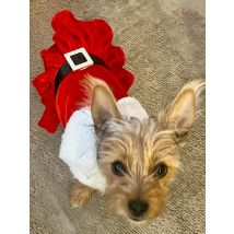 Christmas Dog Costume For Small Medium Dogs Cats Funny Santa Claus Pet Cosplay Dresses For Party Cute Yorkshire Puppy Outfits