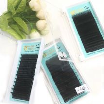 Big eye's secret Hot selling Individual lashes 0.10/0.07 Silk individual eyelash extension,Camellia volume lash extension