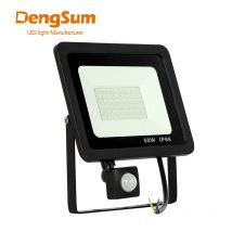10W 20W 30W 50W 100W Indukcyjny reflektor LED z regulowanym czujnikiem PIR 110V 220V Reflektor uliczny Kwadratowe oświetlenie zewnętrzne