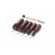 5 Stück 30 mm Länge Torx-Schraubendreher-Bits 12-Punkt-Spline 8 mm 5/16 Fuß Sechskantschaft Impact Star Bit M5 M6 M8 M10 M12 S2 Werkzeuge aus legiertem Stahl