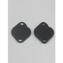 Valve Blanking Plate For Land Rover Discovery 2 & Defender Td5