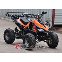Elektrisches ATV für Erwachsene zu verkaufen