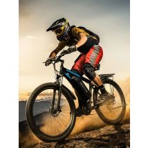 DUOTTS C29 Adult Electric Bike 750W Motor EBike 48V30Ah Battery E-Bike 29 Inch Tire Electric  Bike