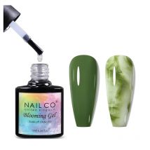 NAILCO 10ml Blooming Gel Soak Off UV Flower Watercolor Gel Polish Varnish Blossom Nail Art Transparent Manicure Effect Nail Glue