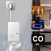 EU-Stecker Erdgas- und Kohlenmonoxiddetektor Plug In 2-in-1 Co Propan LPG Leck Sensor Sensor Alarm für Küche