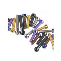 Yaruijia Titanium Bolt M5/M6/M8x10/15/20/25/30/35/40/45/50/60/65/70/80mm Torx Head Bicycle Car Refit Fastener Brake Bolt