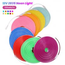 12V 24V LED Neon Light Strip Insegna al neon impermeabile 6X12mm Luci in corda siliconica Decorazione lampada flessibile con spina CC/cavo a 2 pin