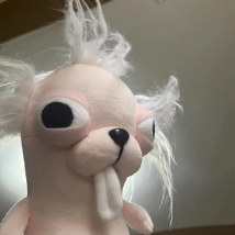 Pluszaki Chihuahua Zabawka Pluszowa Szczeniak Pet Brelok Zawieszka Wypchana Lalka Chihuahua Realistyczna Kawaii Pluszowa Chihuahua Zabawka dla Dzieci