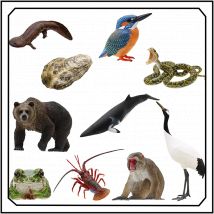 Animali naturali Gashapon Carino Originalità Biologia Miniaturizzazione Modello Mini Ornamento Action Figure Modello Giocattoli Regali
