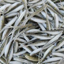 MUKUN 10PCS Fishing Soft Lures Plastic Baits 5cm/6cm/7cm Lifelike Forked Paddle Tail Fishing Swimbaits for Freshwater Tackle
