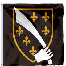 Bosnien historische französische Flagge, 120 x 120 cm, 4 x 4 Fuß, 21 x 21 cm, 90 x 90 cm, 100D-Polyester, doppelt genäht, hochwertiges Banner