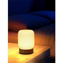 Night Light Touch Lamp for Bedrooms Living Room Portable Dimmable 3 Color Temperatures Bedside Lamps Rechargeable Table Lights