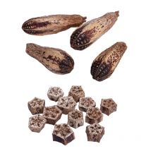 Pet Parrot Toys Natural Beak Grinding Toy Dried Fruit Blocks for Birds Budgies DropShipping