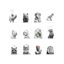 Cat Giraffe Dog Elephant Toilet Paper Bathtub Funny Bathroom Poster Print Canvas Painting Wall Art Shower Room Home Decoration