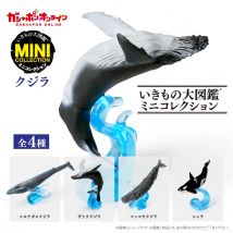 Emulational Marine Organism Fish Sea Whale Modell Gacha Kapsel Spielzeug Ornamente Sammlerstück Kindergeburtstagsgeschenke