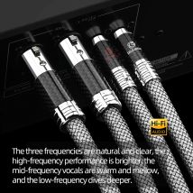 ERUMPENT One Pair HiFi Silver Plated RCA to XLR Audio for Amplifier DVD Player Speaker 2RCA to 2XLR Cable