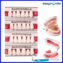 16/12 Set/scatola Protesi Dentale Denti Superiore Anteriore Inferiore Dentier Denti A2 A3 Polimero Sintetico Modello di Educazione Dentale