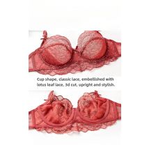 MOYISU Pure Desire Spitzen-BH-Set für Damen, sexy Anti-Sag-Push-Up-Bralette, transparente Unterwäsche für große/kleine Brust, Komfortunterstützung