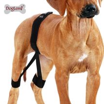 Haustiere Hunde hochwertige Hinterbeins chutz Erholung kiefer ortho pä dische Band für Haustier Hund Schutz Hüftgelenk Korrektur wiederherstellen Tier bedarf