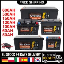 12V 100AH 200Ah 300Ah 600Ah LiFePO4 Batteria incorporata BMS al litio ferro fosfato cellulare 10000 cicli per camper camper carrello da golf solare