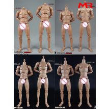 COOMODEL 1/6 Male Standard Muscle Joint Body BD001 BD002 BD003 BD003 BD007 BD008 BD009 BD010 25/27CM Soldier Action Figure Dolls