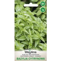 Zitronen-Basilikum 1g Kräutersamen-VegAna