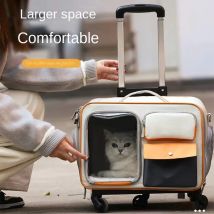 Gli animali domestici uscire con trolley portatili Valigie Cani di piccola taglia Gatti possono utilizzare borse Valigia per gatti ad alta aspetto Capsula spaziale da viaggio