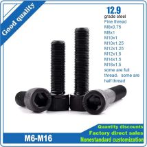 Fine Thread DIN912 M6 M8 M10 M12 M14 M16 Pitch 0.75 to1.5mm 12.9 Grade Alloy Steel Allen Hexagon Hex Socket Cap Head Bolt Screw
