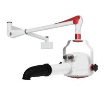 Produzione professionale Macchina per tirare i peli degli animali domestici Asciugacapelli Asciugacapelli Asciugacapelli verticale agli ioni negativi per cani e gatti