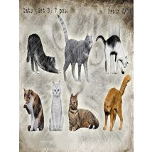 Unpainted Kit 1/35 modern cats include 7 Resin Figure miniature garage kit