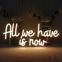 Alles, was wir haben, ist jetzt Neon LED Seufzer Kunst Brief Raum dekoration für Party Bar Hochzeit Home Schlafzimmer Wand dekoration dimmbare USB Neon Lampe