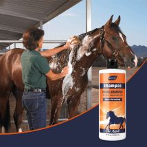 Sanftes Pferde-Shampoo, feuchtigkeitsspendende, pflegende Formel, verbessert den Mantel, glänzende Farbe, nährt Mähne für alle Pferde