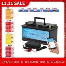 Nuovo 12V 24V 36V 48V 100AH 135AH 120AH 200AH Batteria al litio ferro fosfato Bluetooth più 6000 cicli per camper camper carrello da golf