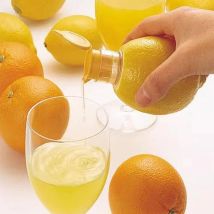 New Screw Top Lemon Juicer Mini Manual Lemon Squeezer Portable Lemon Juicer With Lid Squeeze Lime for Cocktails Plastic Manual
