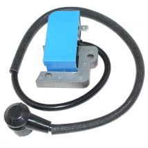 Bobina di accensione per Zenoah EB441 EB6200 EB7000 EB7000RH EB7001 EB7001RH EB4401 EB4300 EB4400 275071200 513671701
