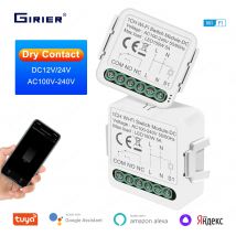 GIRIER Smart Dry Contact Modulo interruttore WiFi Smart Home, Casa Intelligente Interruttore fai da